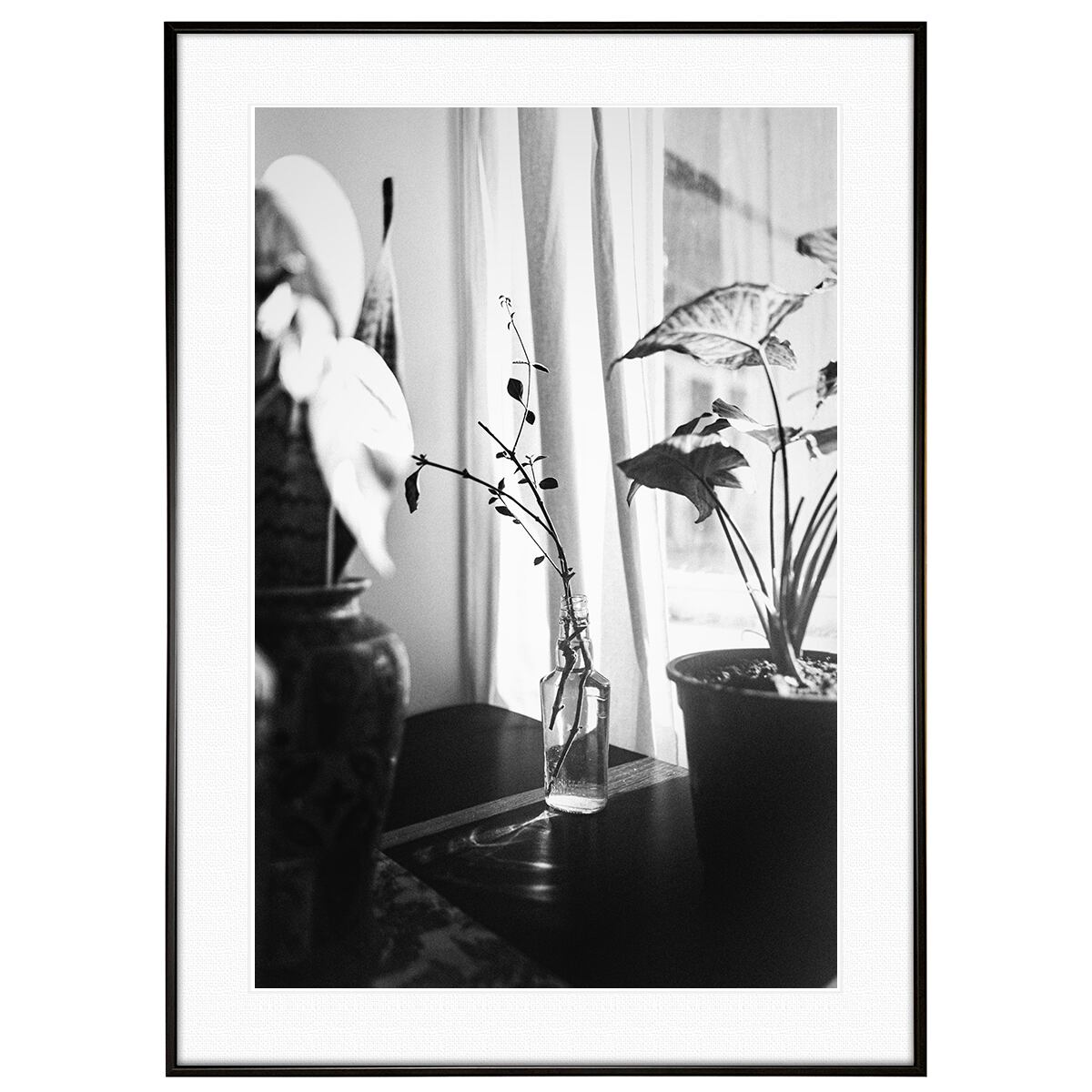 インテリアの額 花写真 モノクロ インテリアアートポスター額装 AS2898 | インテリア