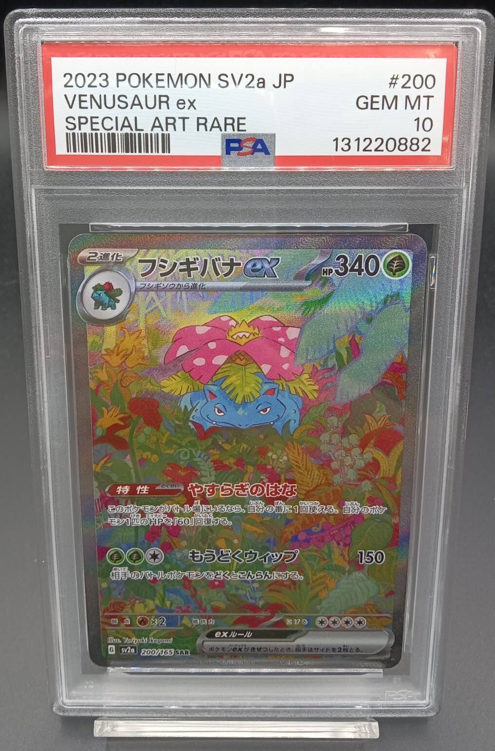 PSA10 ゲンシグラードンEX【UR】{094/081} [XY] | ワンピース