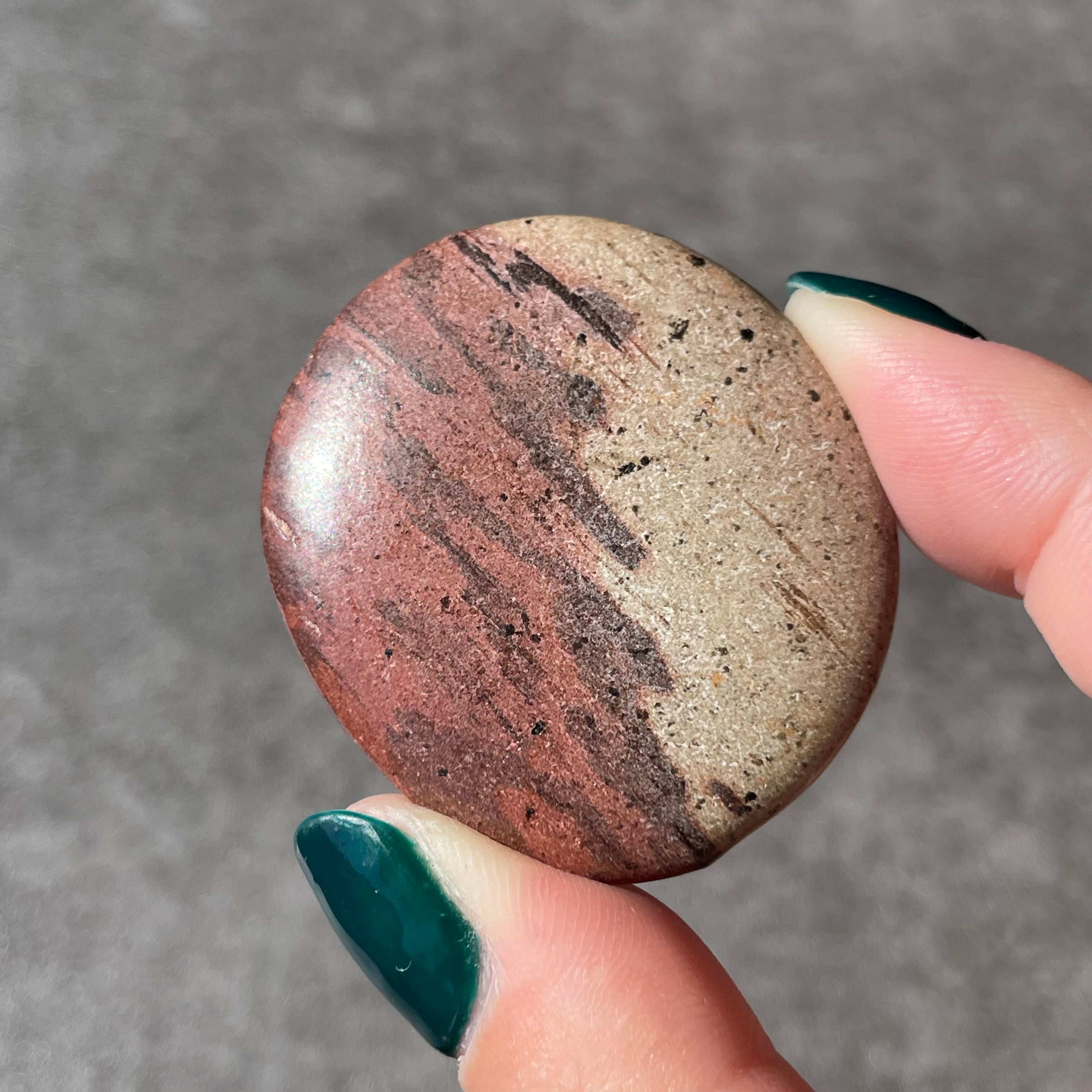 Zebra Stone ゼブラストーン|Palm パーム|天然石 パワーストーン 鉱物 gem stone