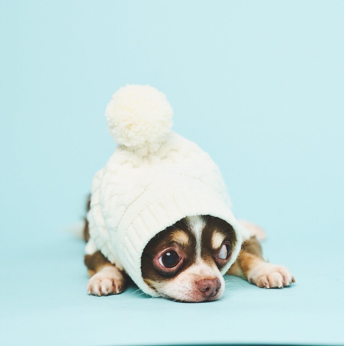 CABLE KNIT BALACLAVA-IVORY