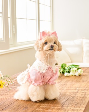 予約【kiki＆nini】Bloomong Cardigan Dress《Pink》