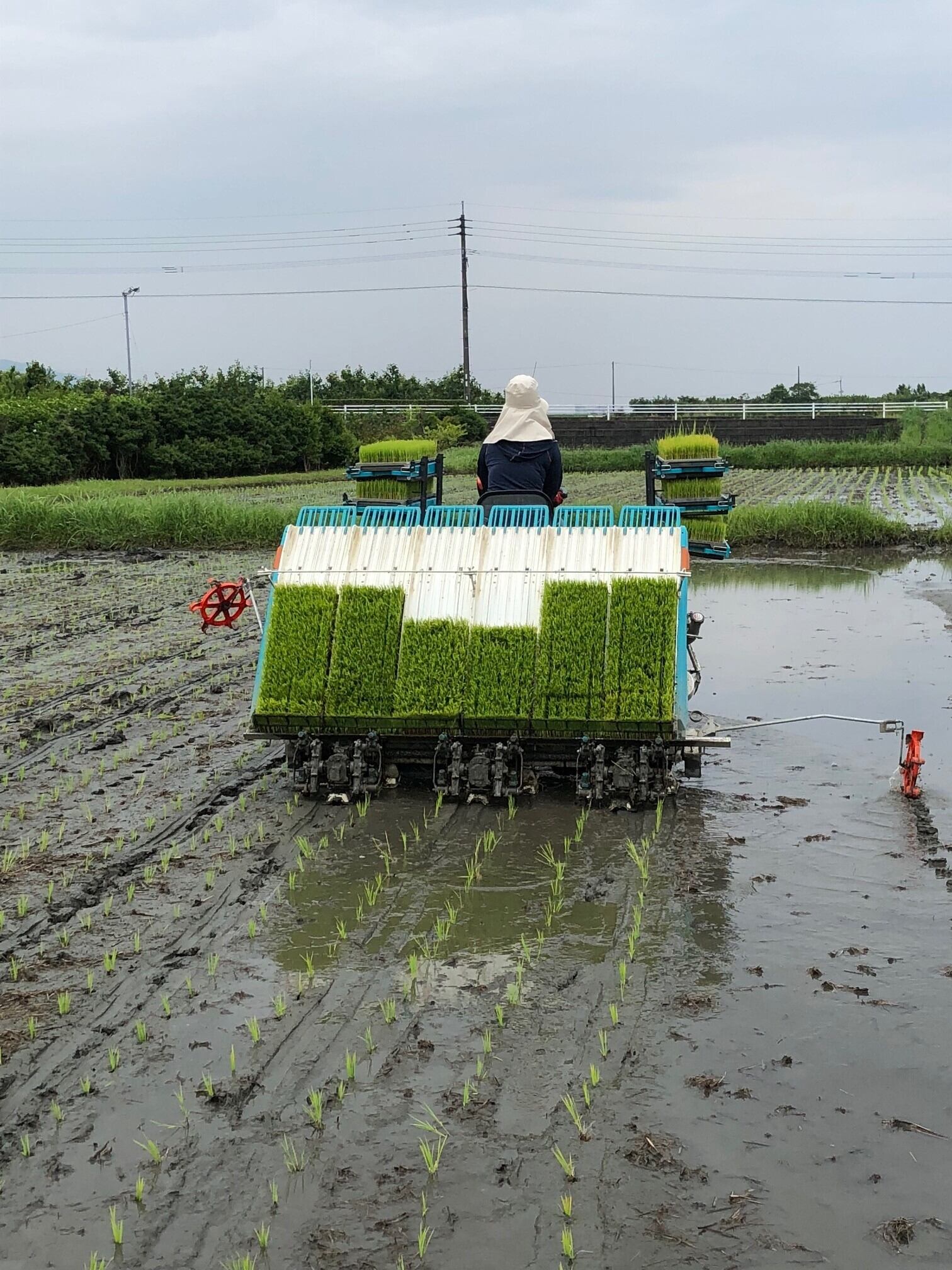 【2kg】百笑倶楽部のお米 （分つき米）※分つきの具合をお指定ください