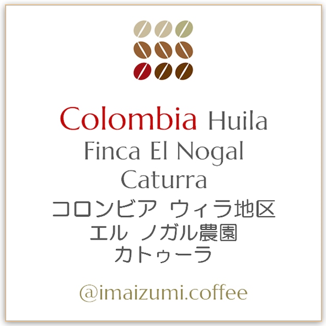 【送料込】コロンビア ウィラ地区エル ノガル農園 カトゥーラ - Colombia Huila Finca El Nogal Caturra - 300g(100g×3)