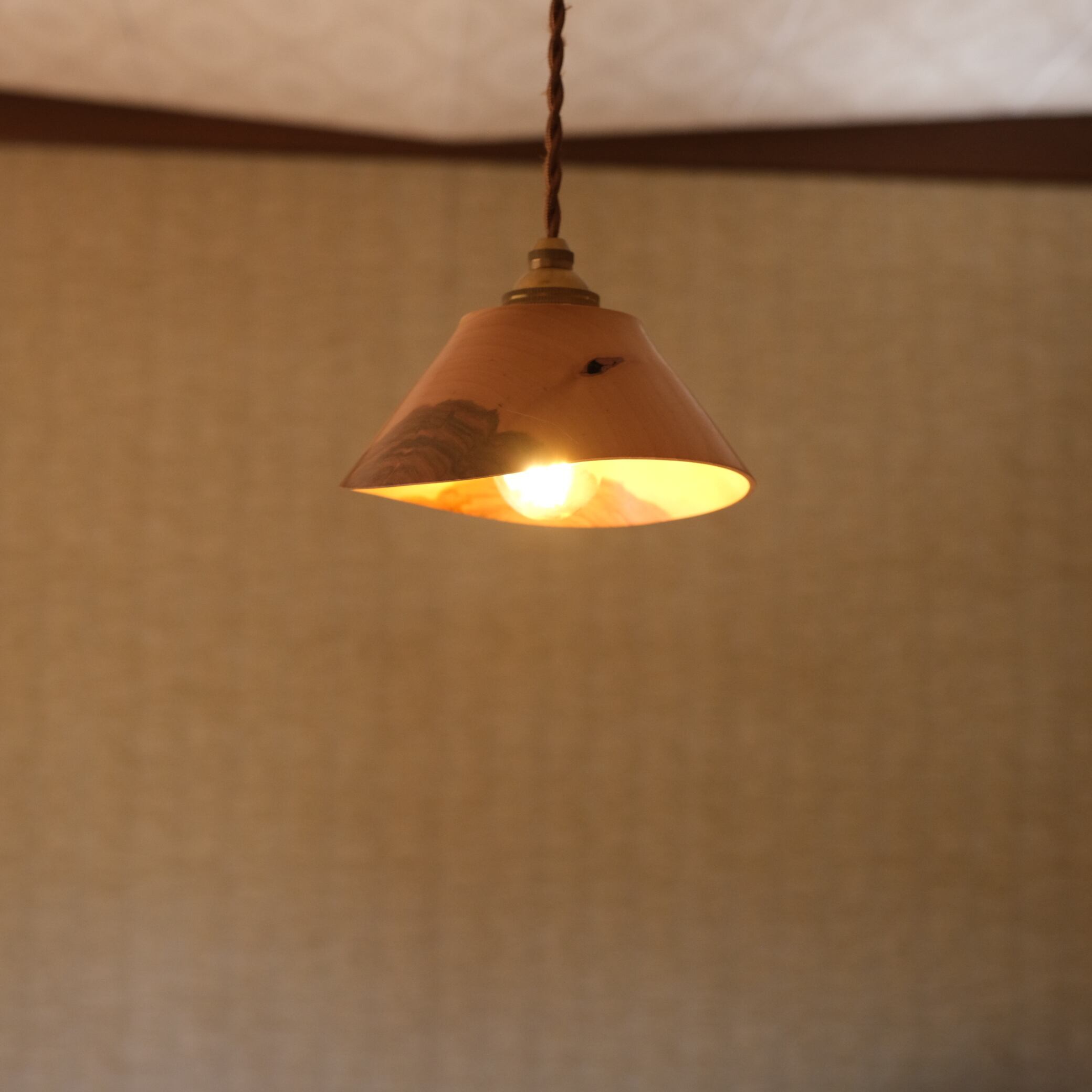 ソメイヨシノ/lamp shade