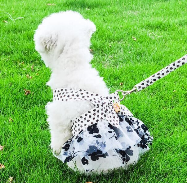 《予約》№210813 モノクロフラワーハーネス