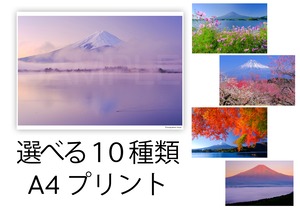 『富士山写真プリント A4』選べる１０種類　