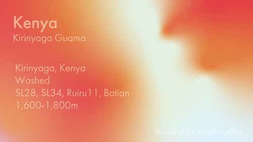 Kenya Kirinyaga Guama, SL28, SL34 and others - Washed