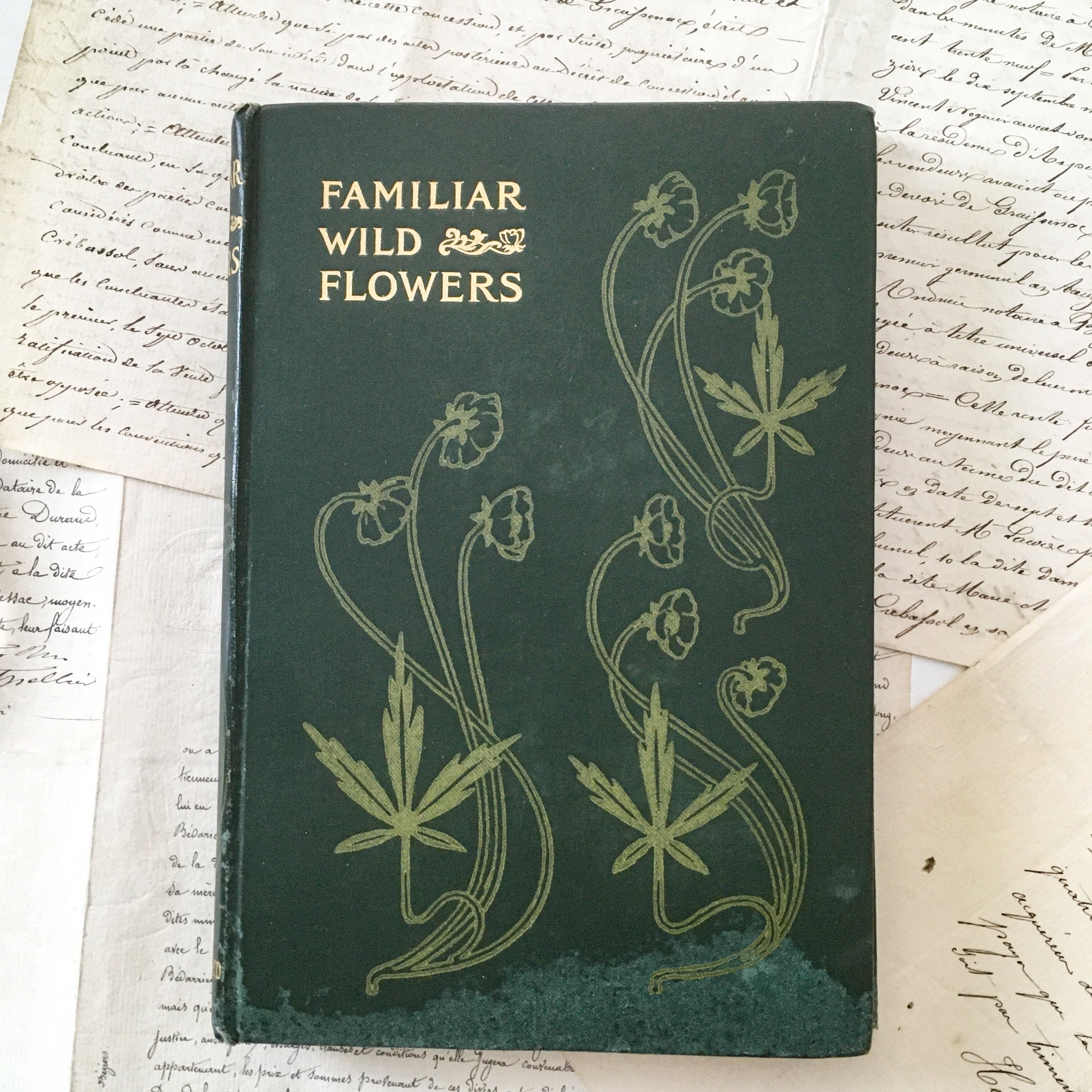 イギリス アンティーク 40プレート 植物図鑑 野の花 ボタニカル 古書 