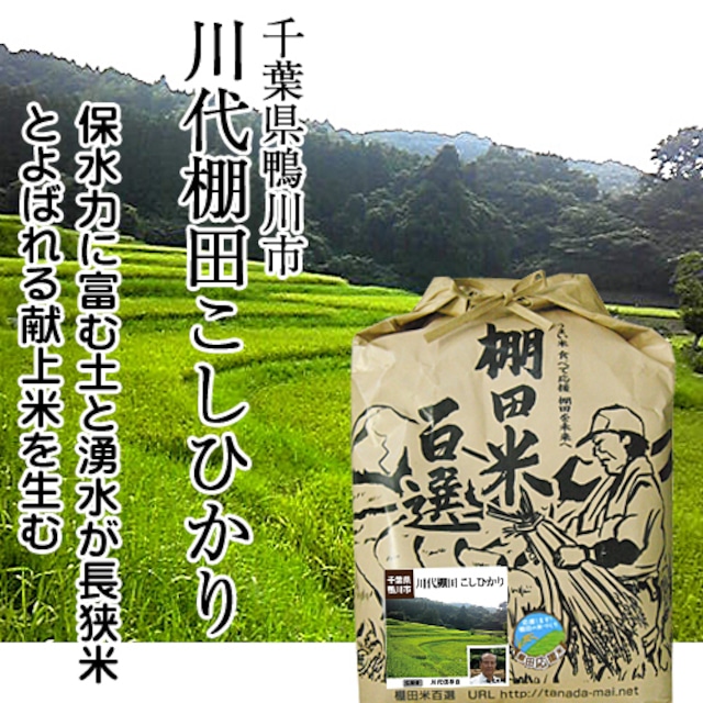 【令和5年産】千葉鴨川「川代棚田こしひかり」【天日干し米】（白米／玄米 5kg）