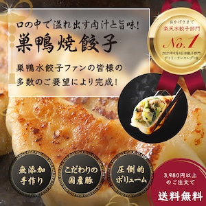 定期便｜箸が止まらない！絶品焼餃子 48個（12個入り×4袋）