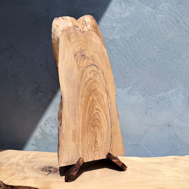 No.559：オリーブ