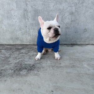 BUHI DAY THE 13 お面ちゃん パーカー（ストロングブルー）