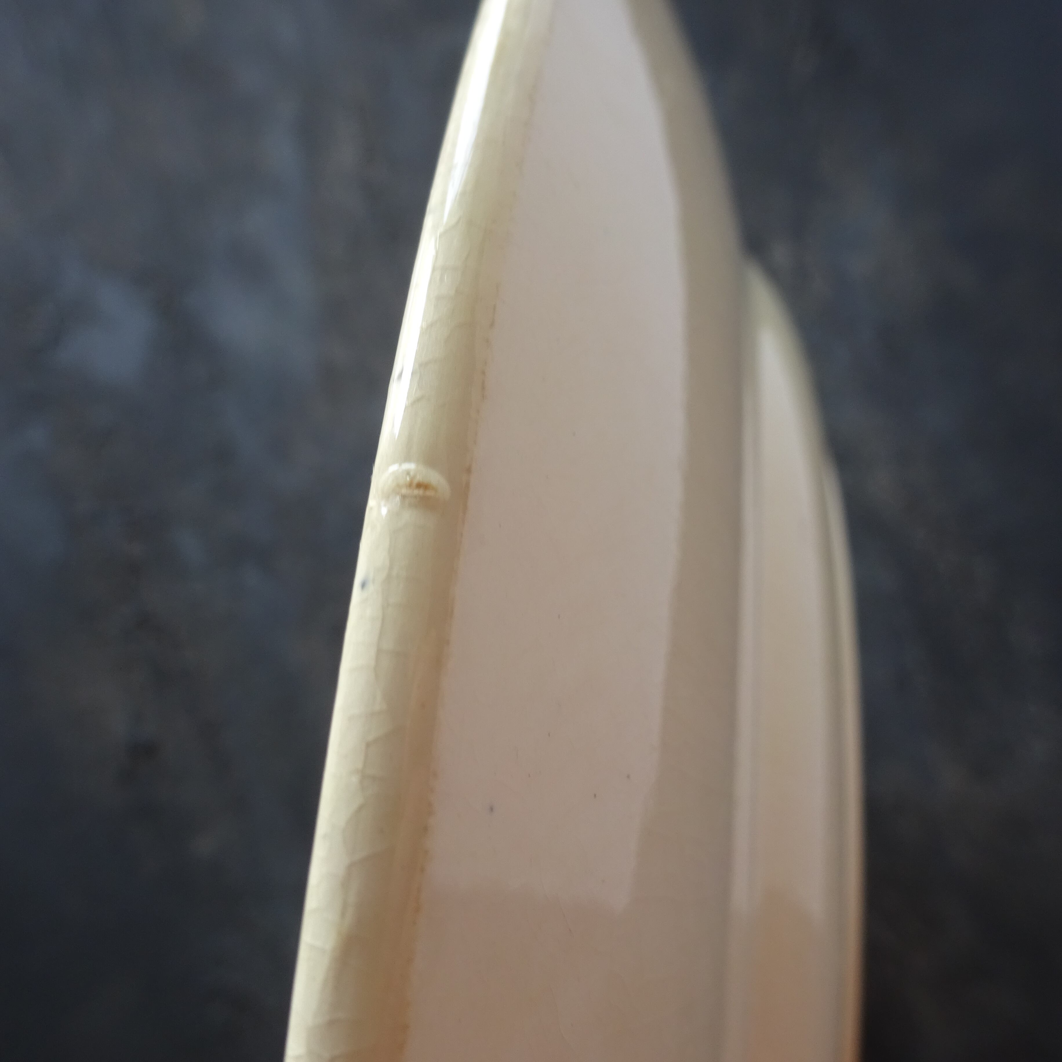 DIGOIN SARREGUEMINES  modèle《TSARINE》grand plat rond