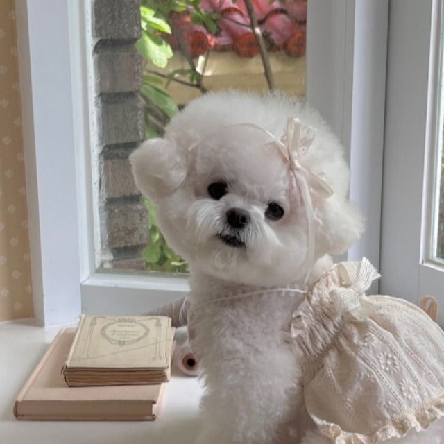 【予約】[Hi yeboo] Roha Ribbon Ops acc (hairpin)