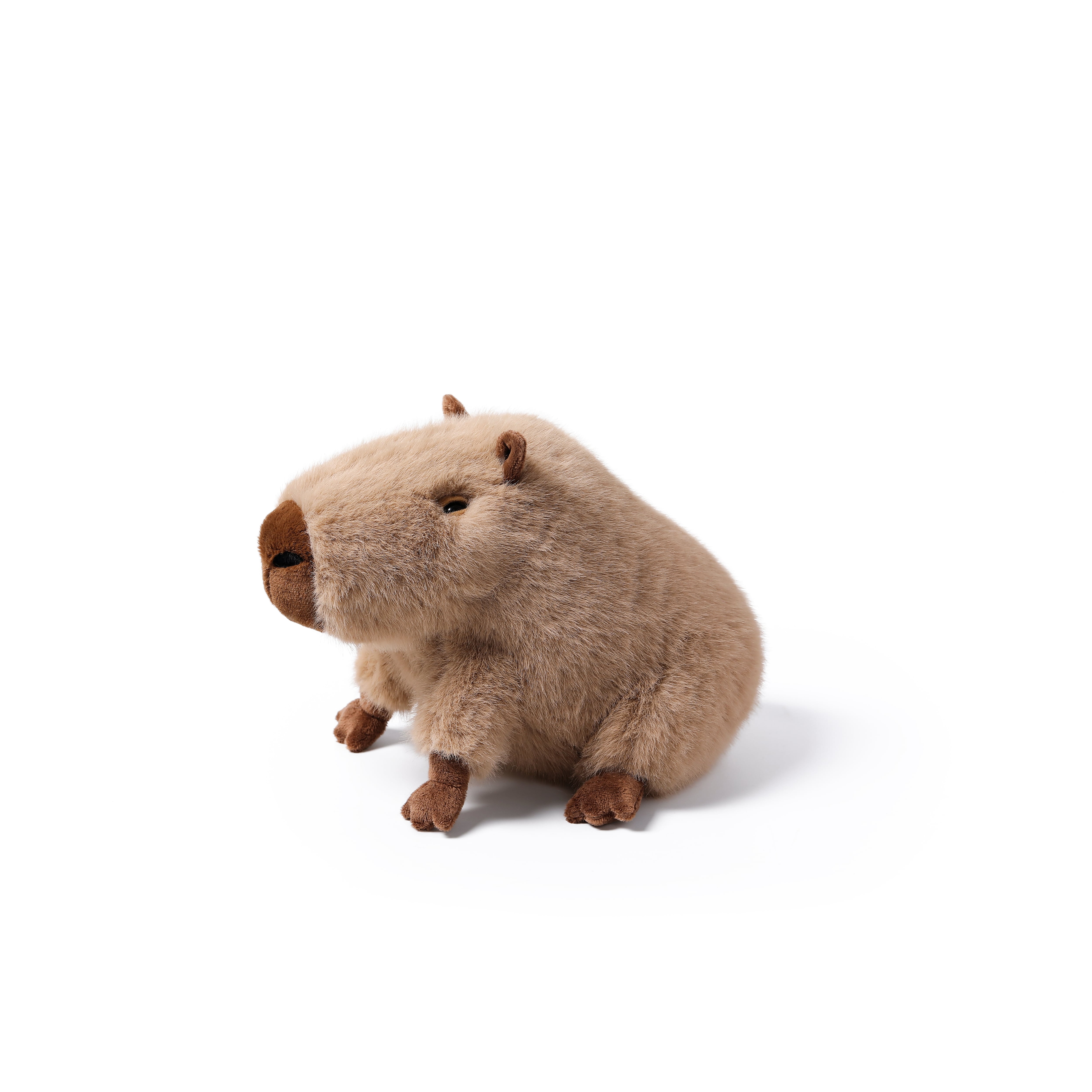 Peaceful Capybara_MC300303