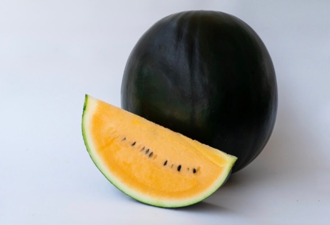 45f4c93c5040ca74d02c694691c754