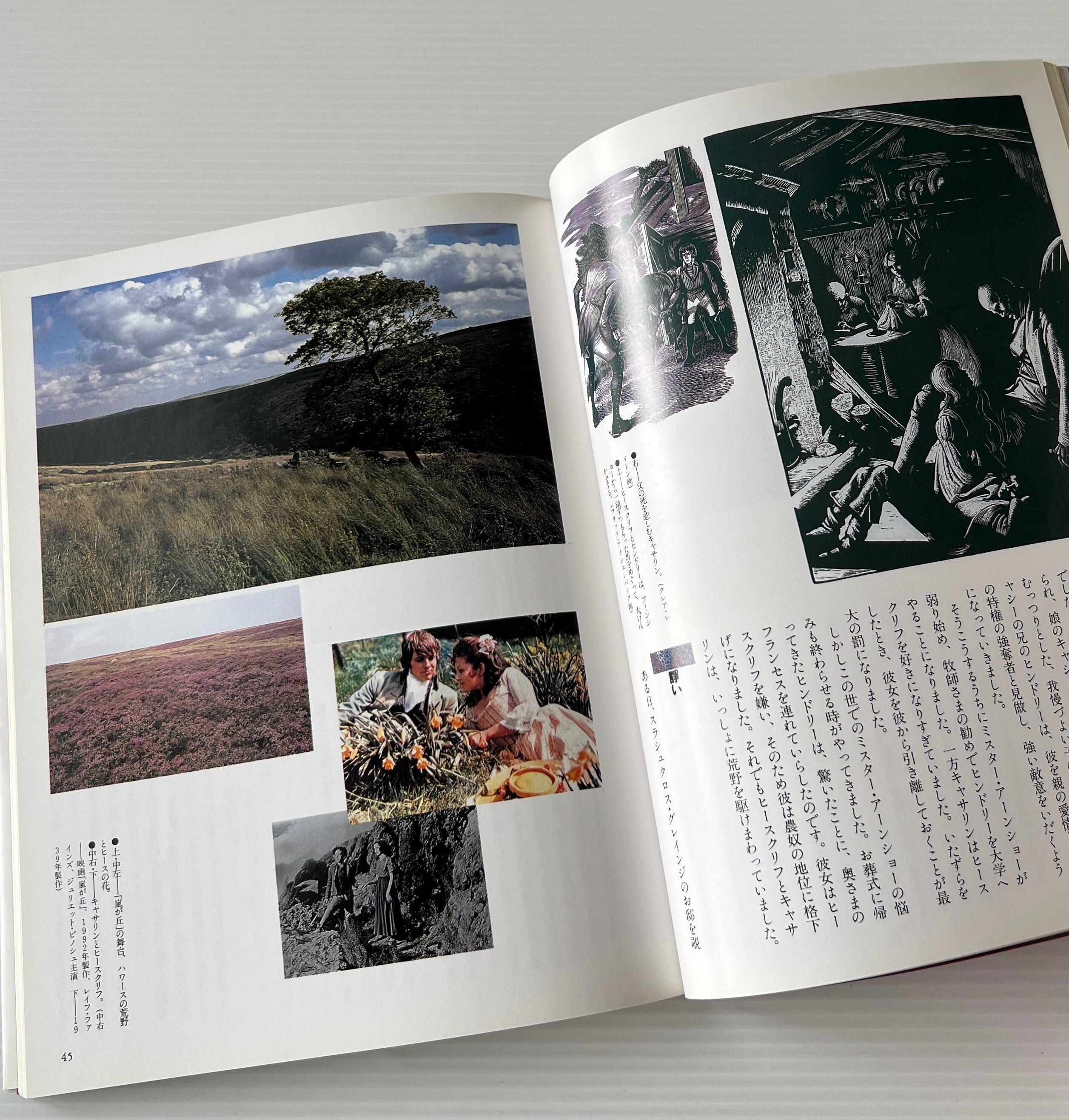 図説『ジェイン・エア』と『嵐が丘』 : ブロンテ姉妹の世界 / 河野多恵子 他著 / 河出書房新社