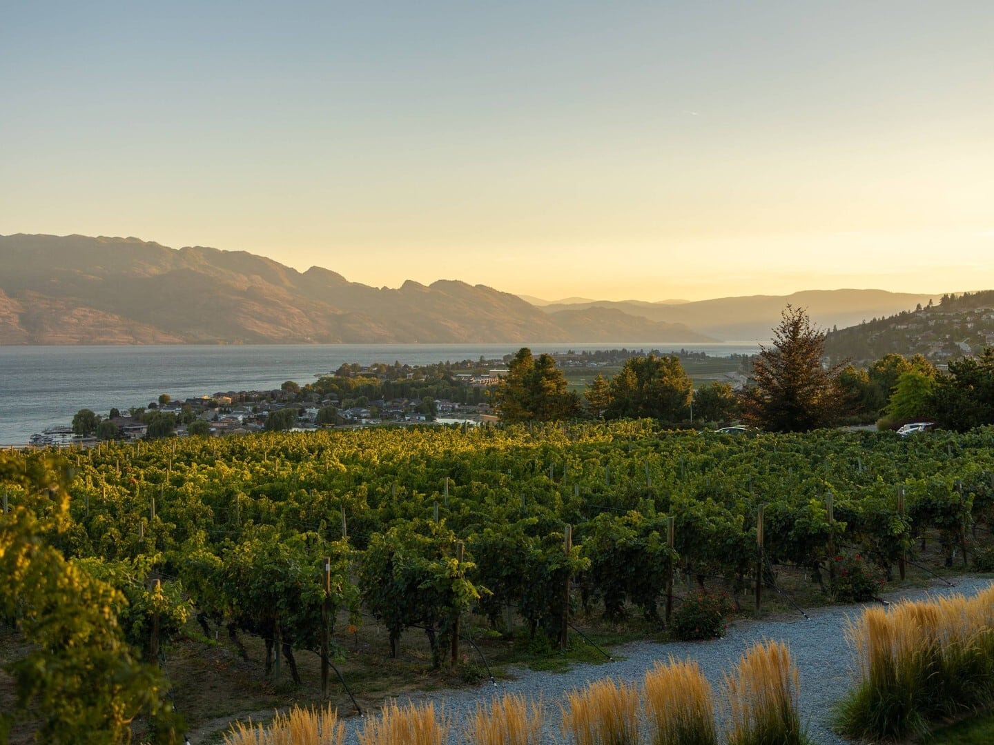 クエイルズ ゲイト　メリテージ（メリタージュ） 2020 【カナダ オカナガンバレー】