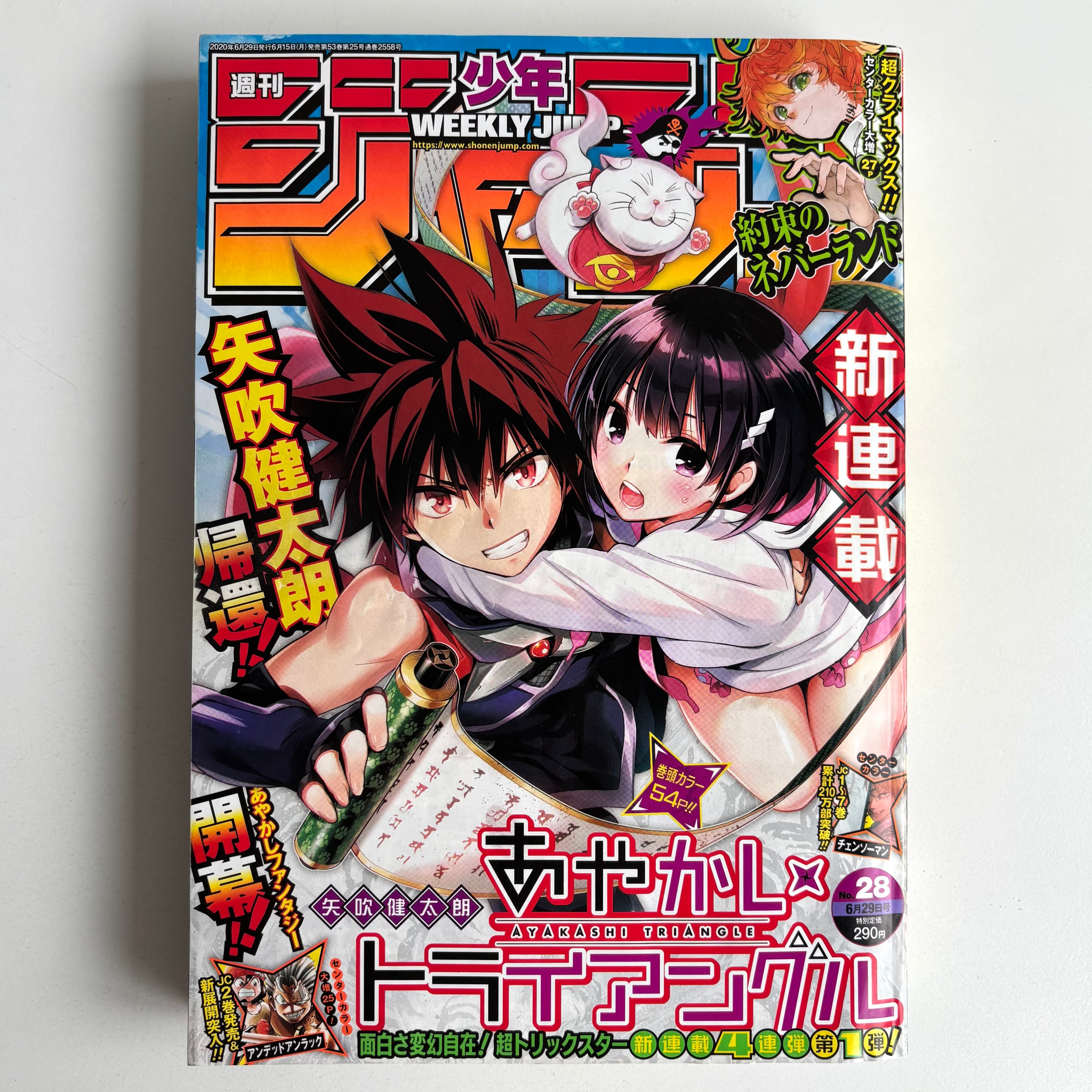 週刊少年ジャンプ　2009年53号/2010年1号/2010年2号 週刊少年ジャンプ 2009年 53号 2010年 1,2号 集英社 ONEPIECE 3号連続