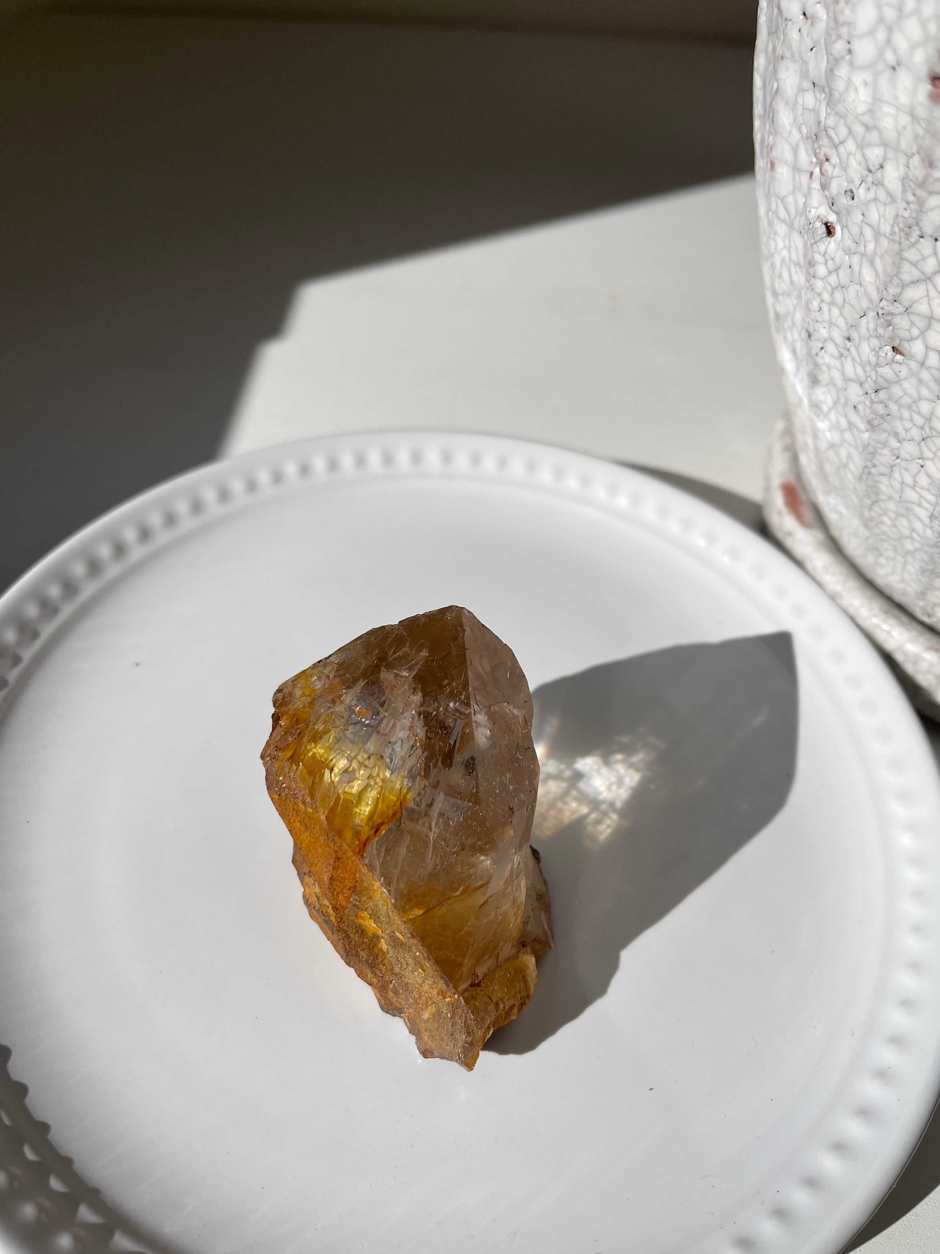 Ganesh Himar Golden Healer / ガネーシュヒマールゴールデンヒーラー