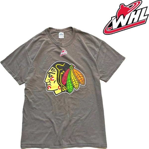1点物◇チャンピオンNCAAバックプリントTシャツ古着メンズXLレディース