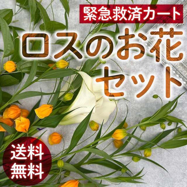 フラワーロス救済ありがとうございます！《数量限定》ロット割れお花セット〈送料無料＆クール便無料〉★ロット割れ救済