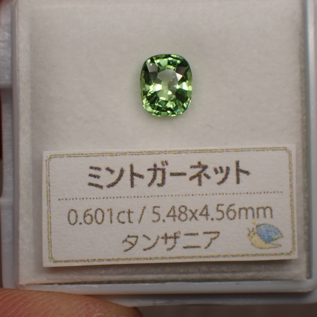 ミントガーネット ペントップ 宝石つむり 浸っ