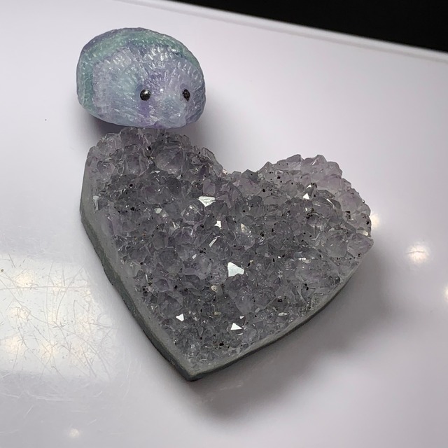 2.ハートアメジストクラスターに住み着いているフローライトハリネズミさん
