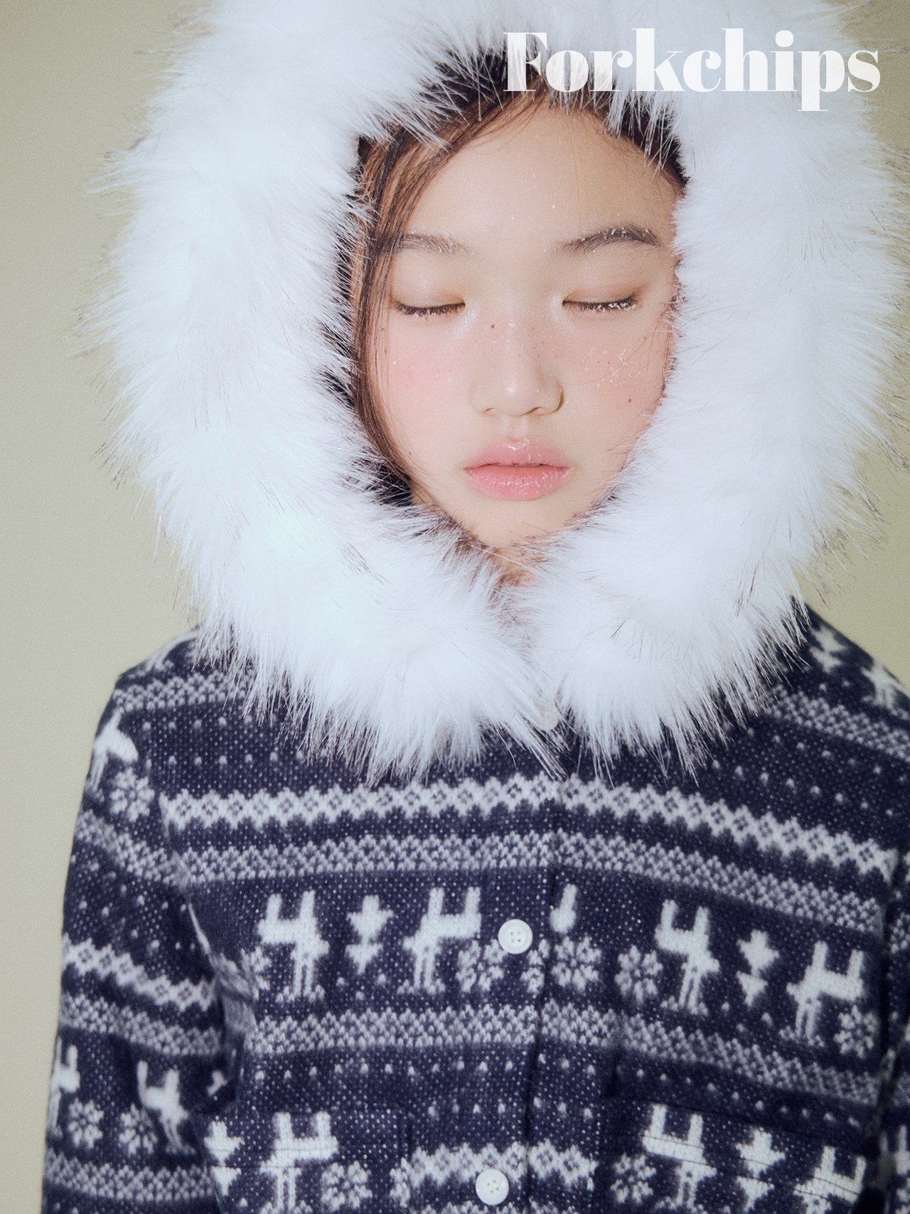 FORK CHIPS［取寄］nordic cardigan 26winter