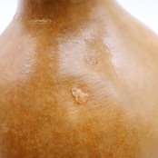 フラダンス イプ ひょうたん ブラウン系 楽器 小物 小道具 茶 黄 明るい ケース セット ケース付き 光沢 艶 紐 タヒチアン タヒチ 練習 レッスン 舞台 ステージ イベント 音楽 ハワイアン アロハ ダンス小物