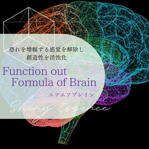 Function out Formula of Brain セッション Zoom