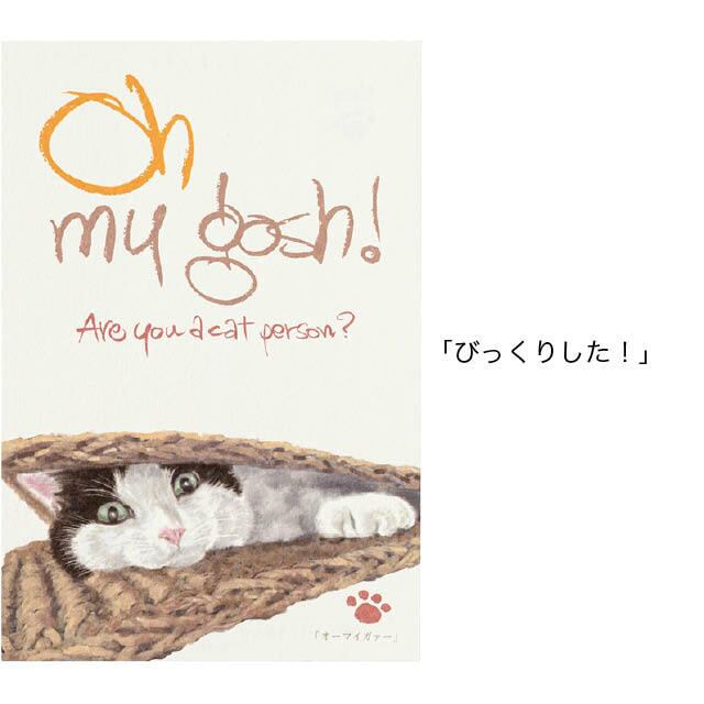 チャリティー商品 猫 ポストカード ねこハガキ 6枚セット | うさぎ