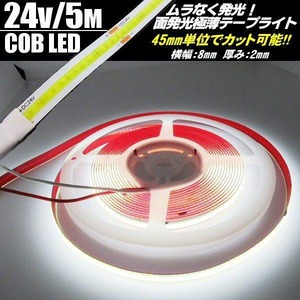 超光量! 24v COB 面発光 LED テープライト 5ｍ巻き 極薄2mm  白 ホワイト 色ムラなし カット使用可能 ランプ アンドン