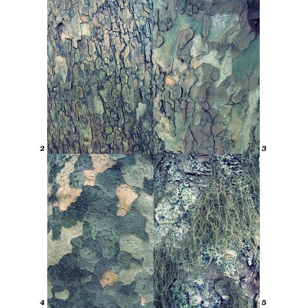 woods! / set of 5 | Botanico（ボタニコ）