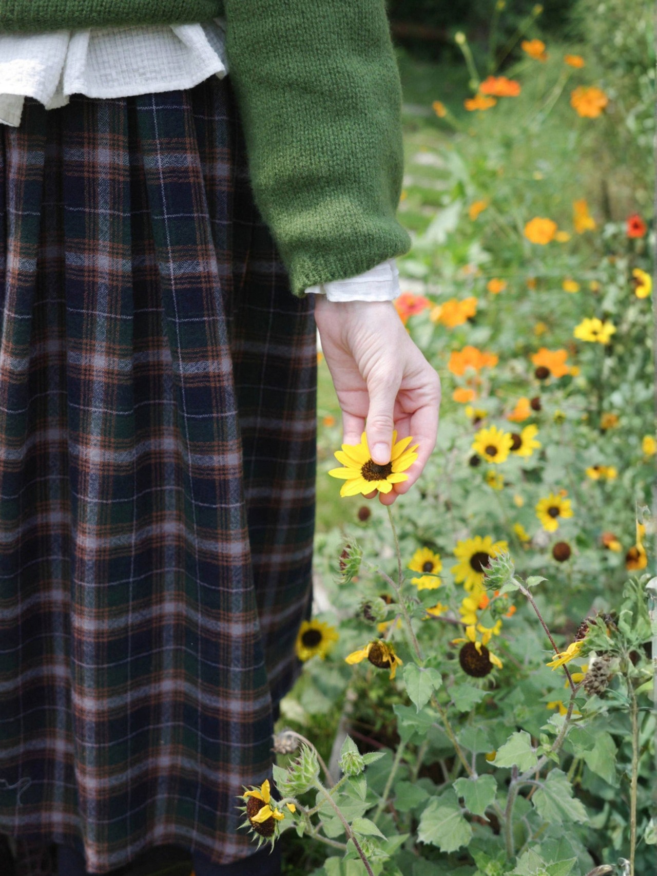 Forêt Tartan Check Wool Volume Skirt F0867