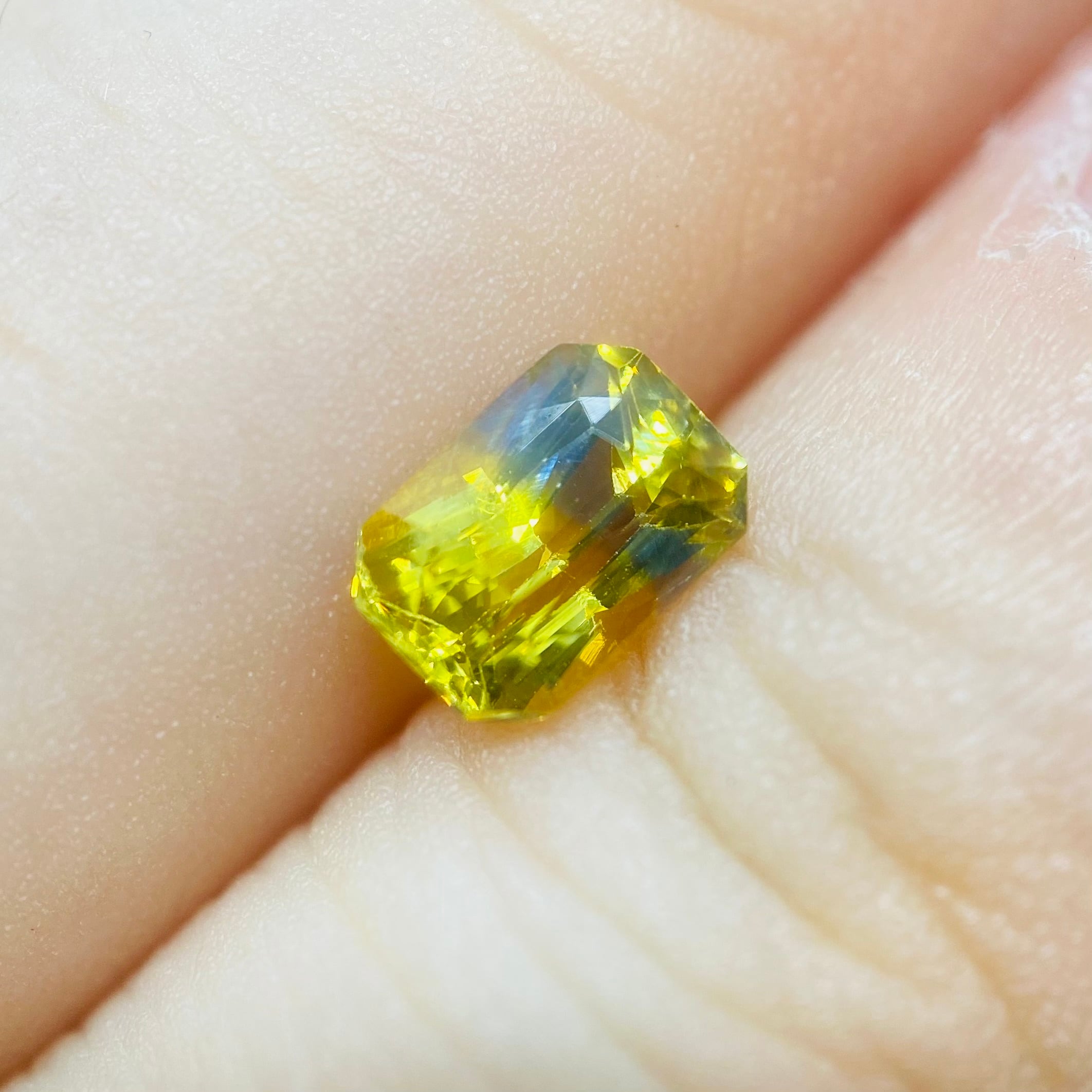 向日葵が見る夏空　バイカラーサファイア