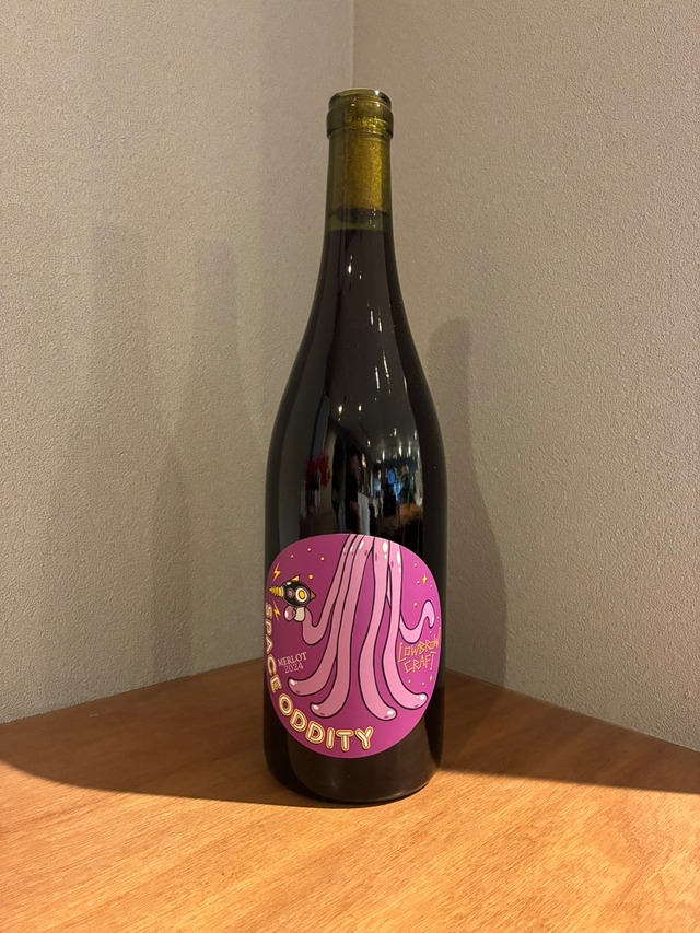 SPACE ODDITY merlot 2024 750ml