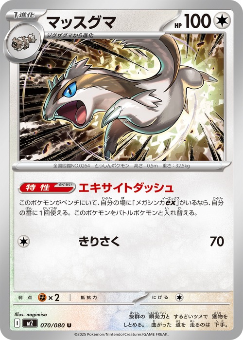 マッスグマ m2 070/080