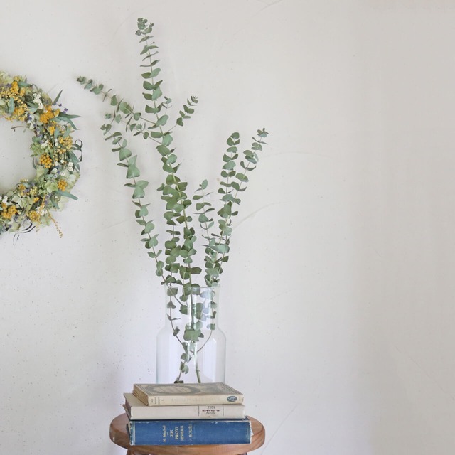 【約60～90cm 大枝 】 ユーカリ 銀世界 ロング / ドライフラワー