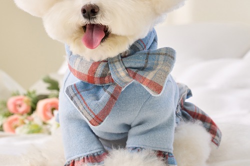 【１～２営業日発送】リボンチェックマフラー(BLUE)