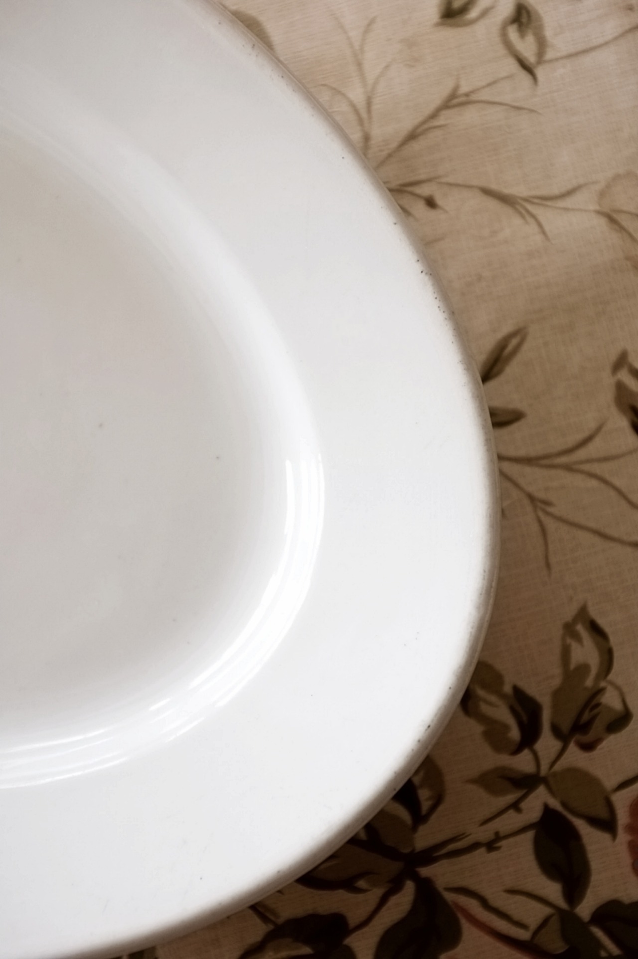 19世紀  フランス 36.5c おお巨大な白よ！白の集約と重厚なオーバルプレートb アンティーク