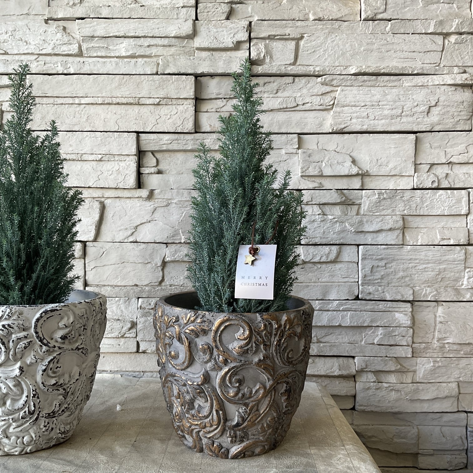 受注販売】【クリスマス】キラキララメ付きコニファー陶器鉢植え