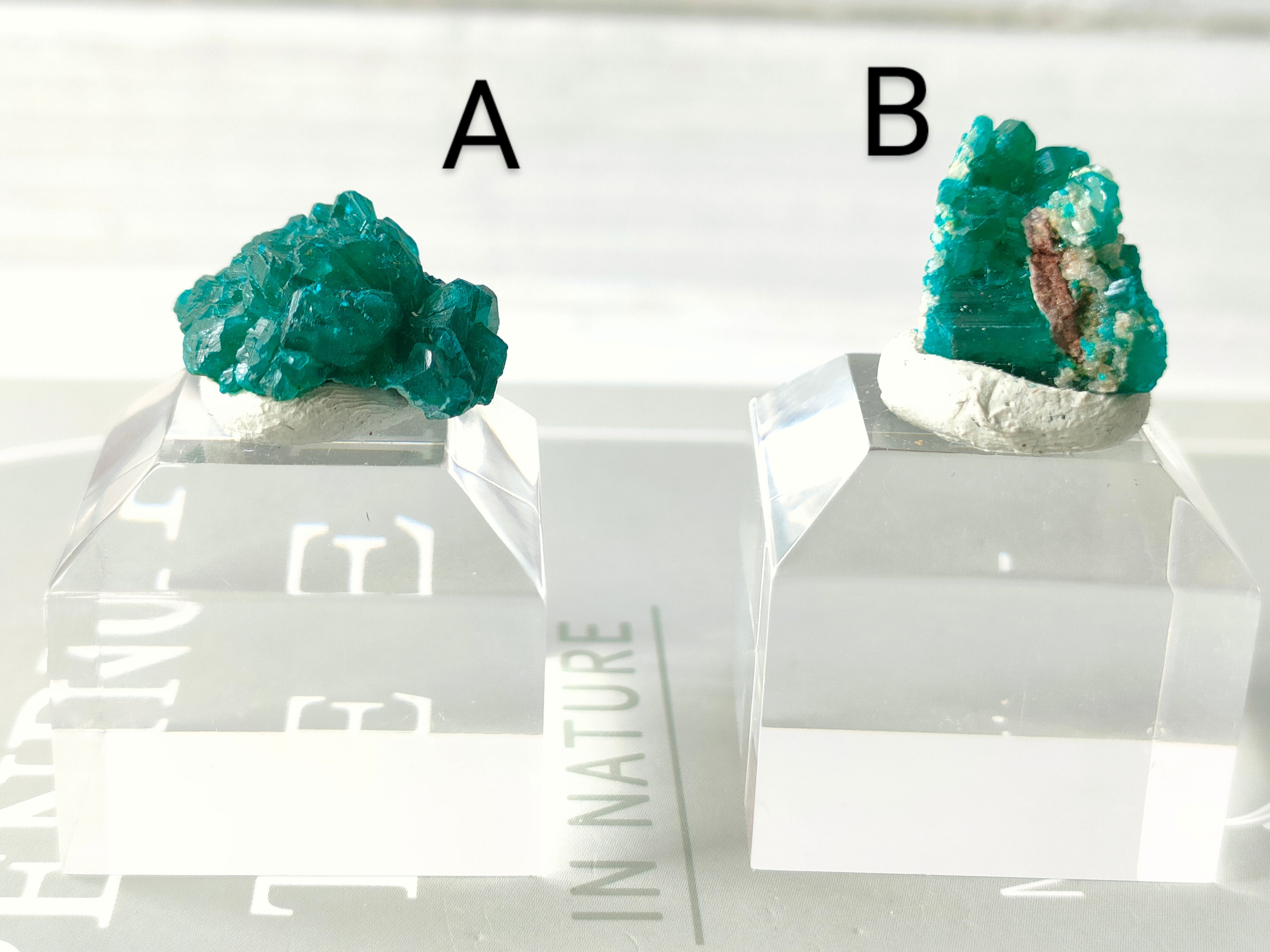 ダイオプテーズ