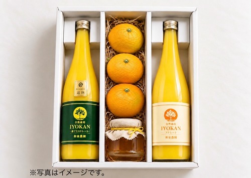 冬限定ギフト「伊予柑」3品+「蜂蜜」詰め合わせ
