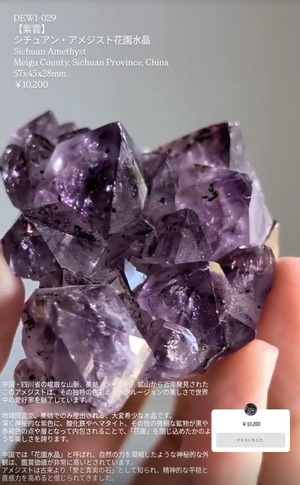 ⭔ お客様専用ページ ⭔ springfield_shona様　