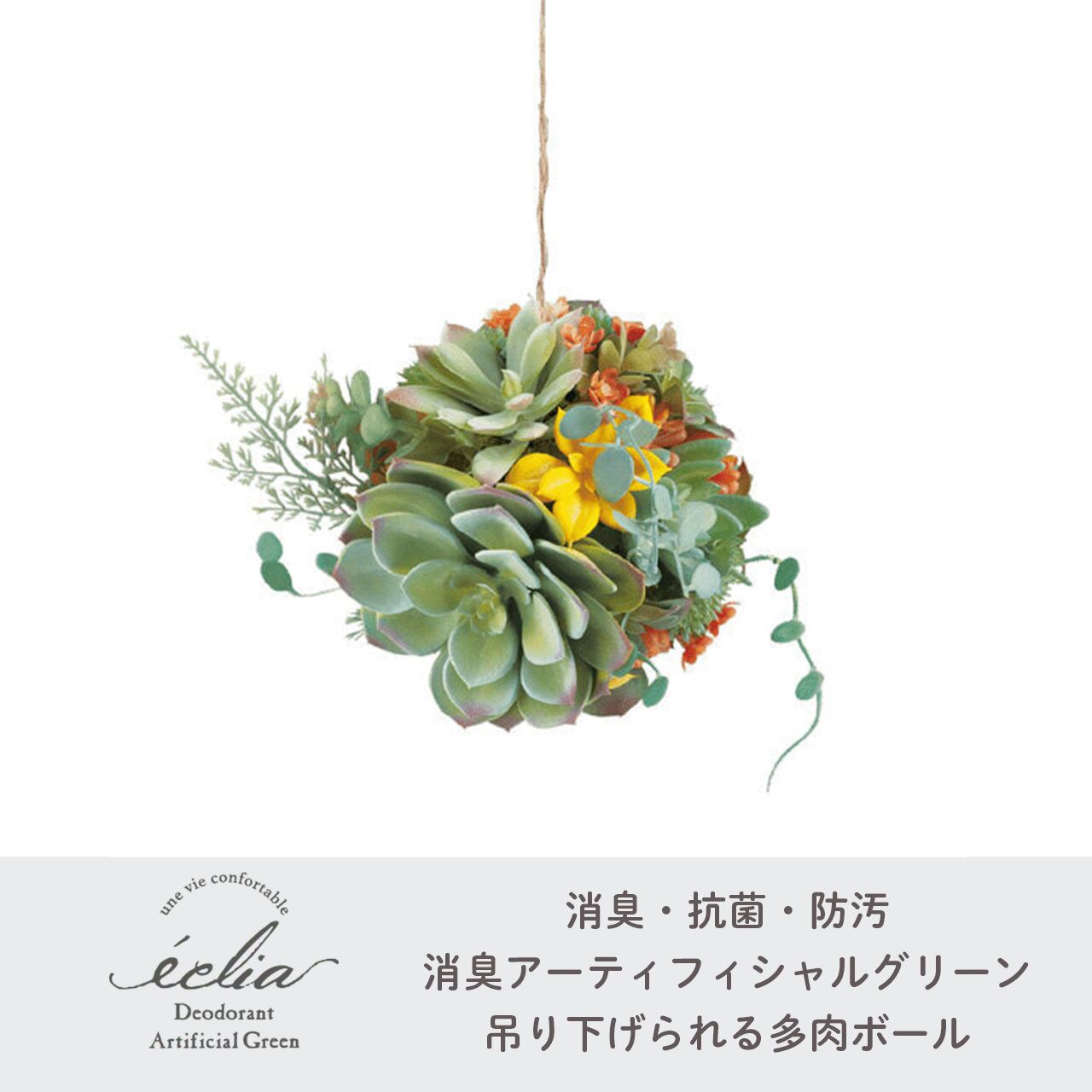 GMGO10○Gallery-M / ギャラリーエム ACTUS アクタス ドイ GMGO10○Gallery-M / ギャラリーエム ACTUS アクタス ドイ