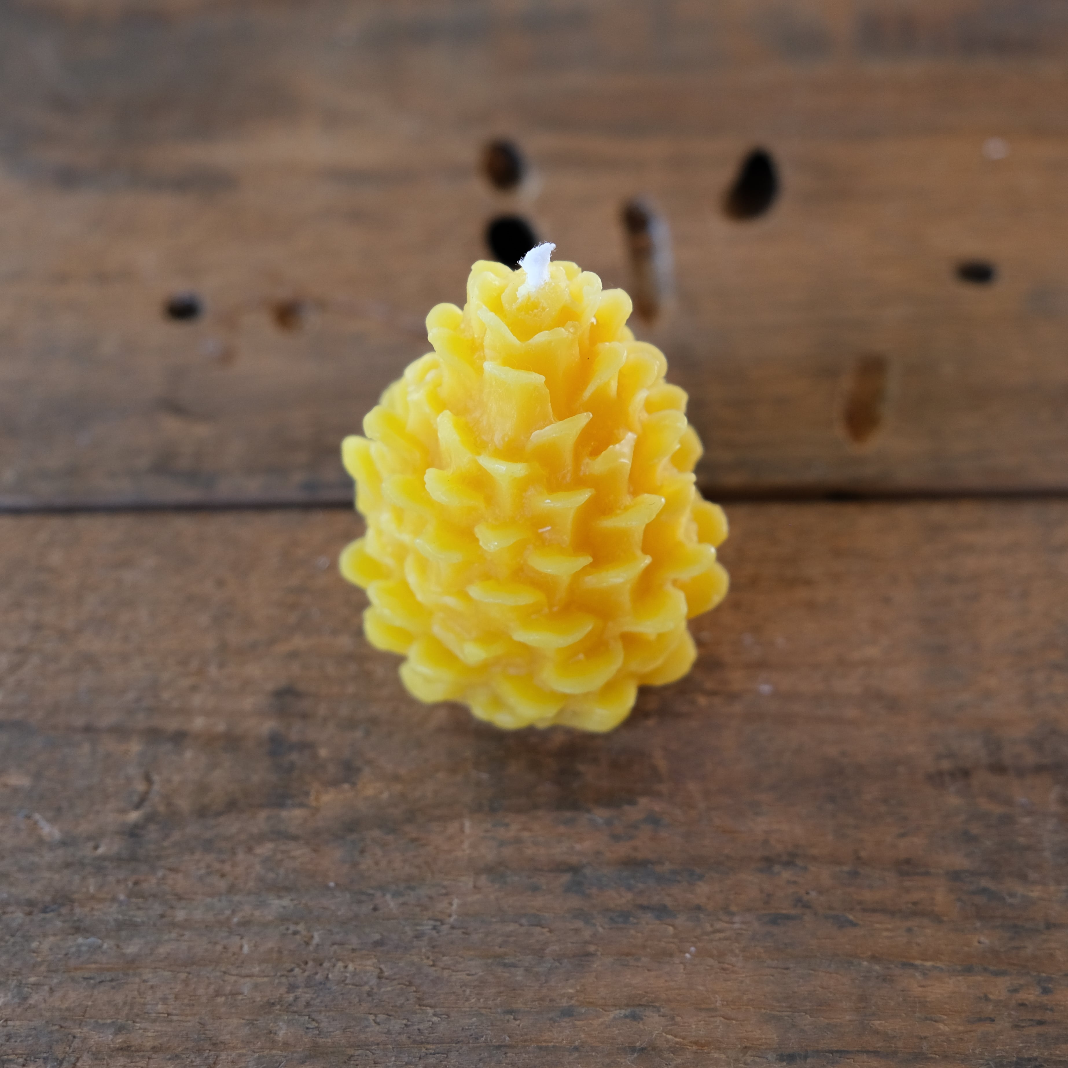 松ぼっくり〈蜜蝋キャンドル〉 | frill