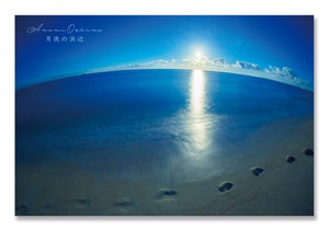 奄美ポストカード「月夜の浜辺」