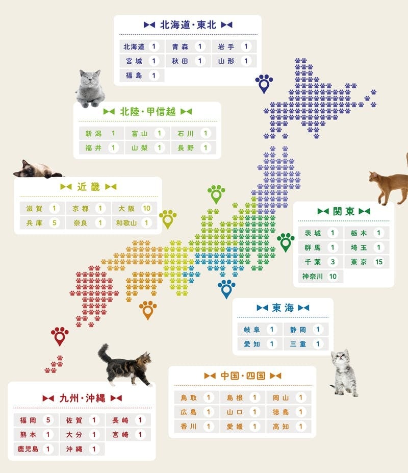 看板ネコ紹介サイトの掲載枠限定】看板ネコちゃんページ修正費