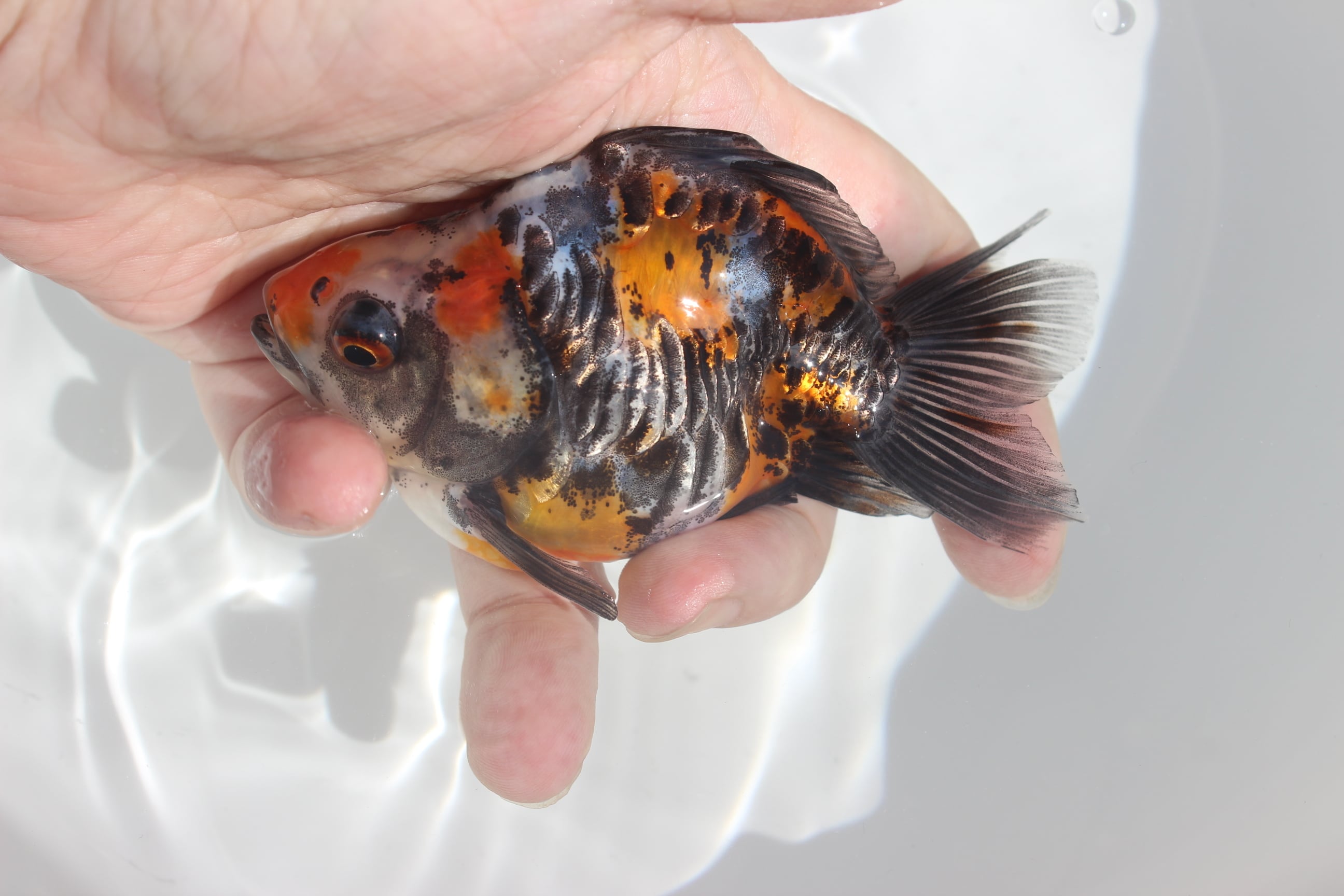 4622bc5945714115f8b7888f7c284c